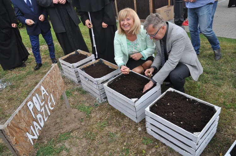 "Pola nadziei" w Darłowie