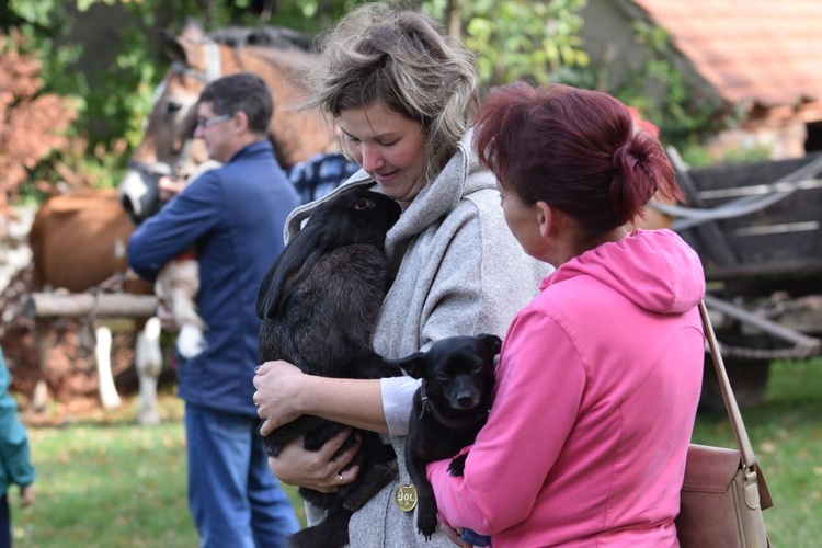 Uczcili wspomnienie św. Franciszka