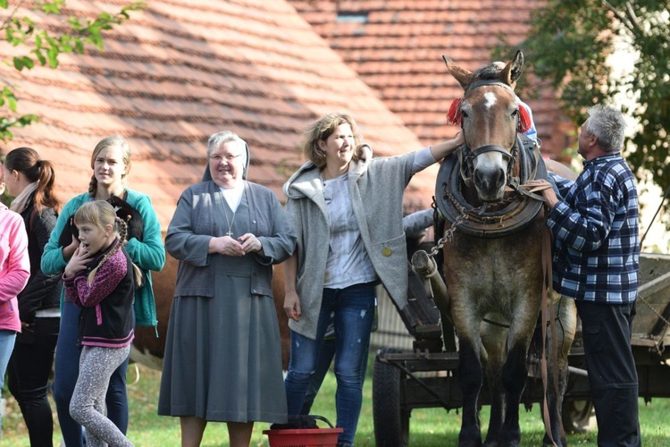 Uczcili wspomnienie św. Franciszka