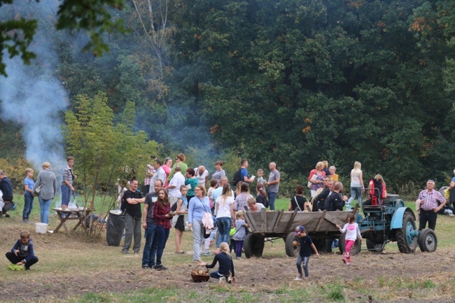 Festiwal Ziemniaka w radomskim skansenie