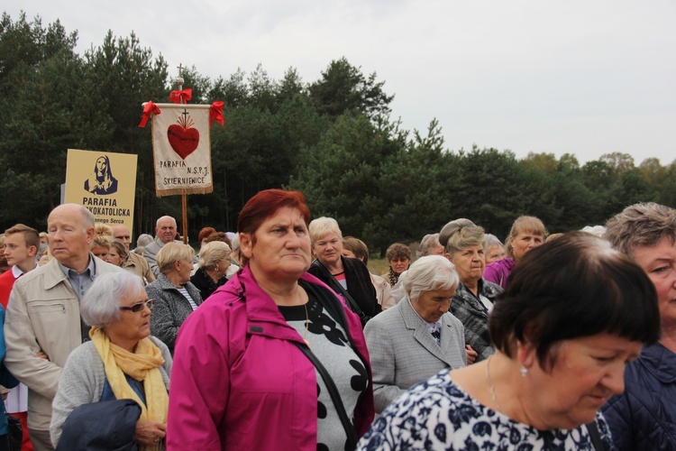 XII Pielgrzymka Kół Żywego Różańca do Domaniewic