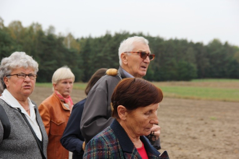 XII Pielgrzymka Kół Żywego Różańca do Domaniewic