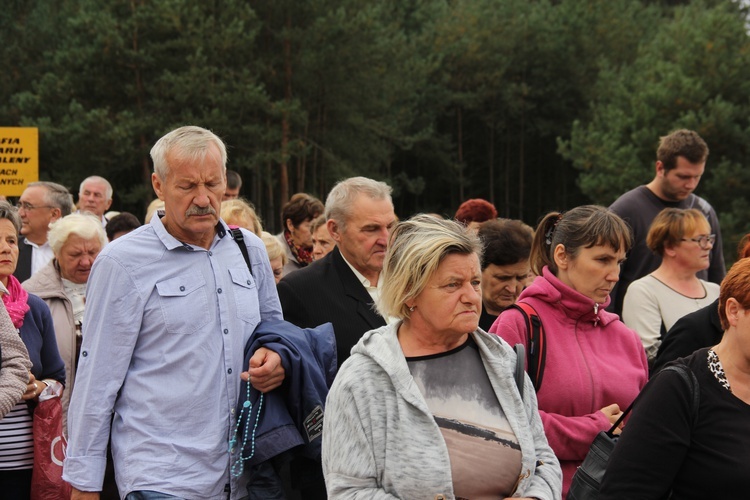 XII Pielgrzymka Kół Żywego Różańca do Domaniewic