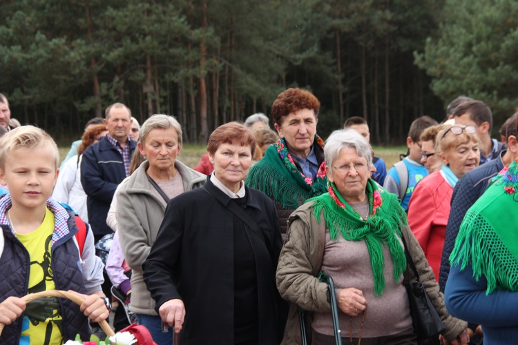 XII Pielgrzymka Kół Żywego Różańca do Domaniewic