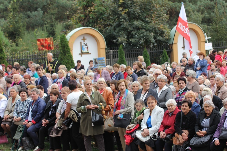 XII Pielgrzymka Kół Żywego Różańca do Domaniewic