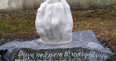 Dziecko jak kwiatowy pąk