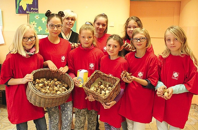 Wolontariusze z Nowogrodu Bobrzańskiego już pierwszego dnia akcji sprzedali 300 cebulek żonkili.
