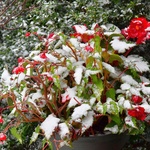 Pierwszy śnieg w Zakopanem 