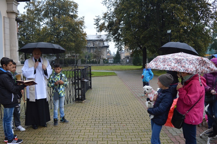 Czworonożne pupile przed kościołem 