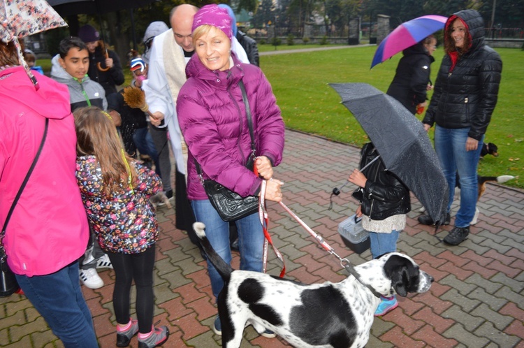 Czworonożne pupile przed kościołem 