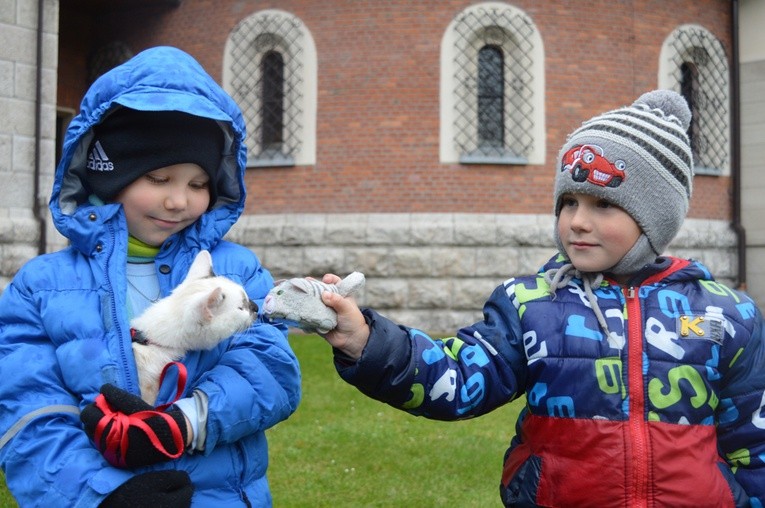 Czworonożne pupile przed kościołem 