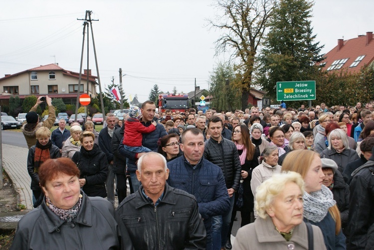 Powitanie ikony MB Częstochowskiej w Budziszewicach