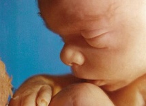 Będą sekcje zwłok abortowanych dzieci?