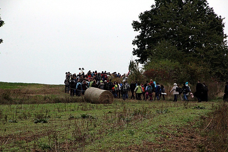 Pielgrzymka trzebnicka nr 8