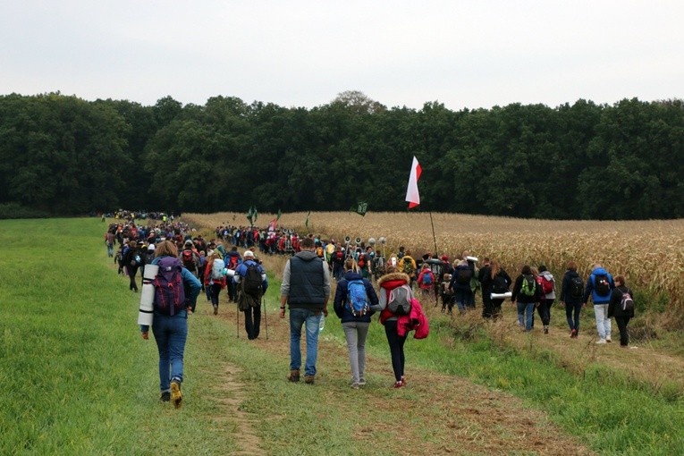 Pielgrzymka trzebnicka nr 10