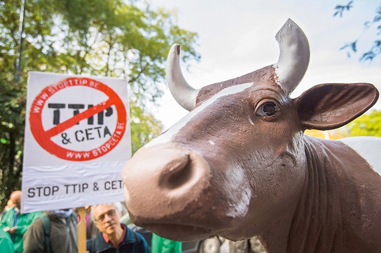 Przeciwko umowie CETA protestują nie tylko Polacy. Nie chcą jej  także Belgowie.