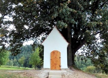 Remont kapliczki w Swoszowej