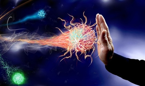 Pożyteczne szkodniki