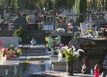Osoby szukające grobów bliskich na dużych cmentarzach mogą teraz skorzystać z pomocy specjalnej wyszukiwarki.