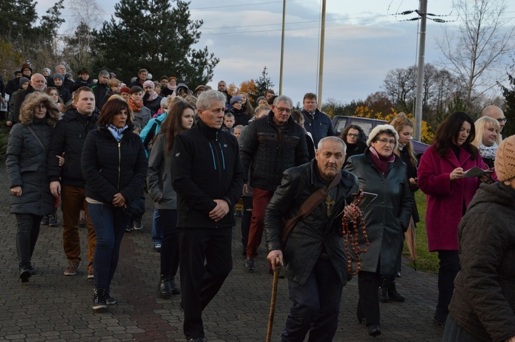 Powitanie ikony MB Częstochowskiej w Skierniewicach - Rawce