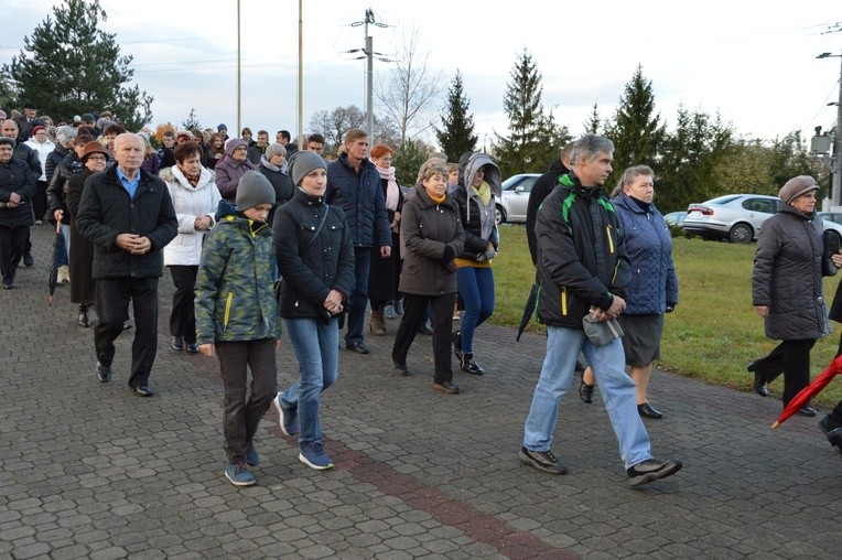 Powitanie ikony MB Częstochowskiej w Skierniewicach - Rawce