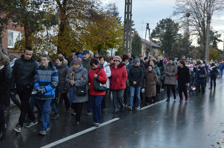 Powitanie ikony MB Częstochowskiej w Skierniewicach - Rawce