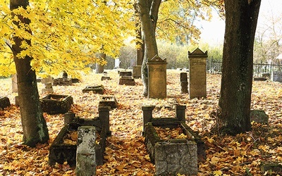 Charakterystycznym elementem żuławskich cmentarzy są stele  – ustawiane pionowo płyty nagrobne z kamienia lub w przypadku mniej zamożnych rodzin  – z drewna.