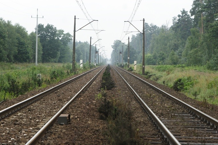 Ludzie Żelaznych Dróg u Matki