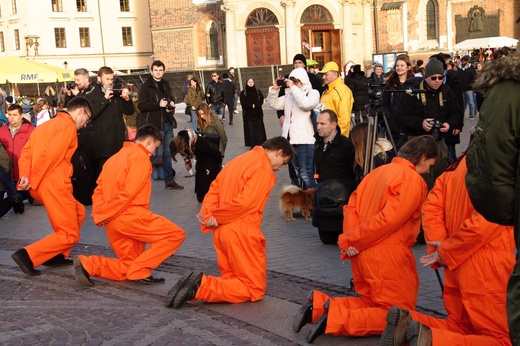 Flash mob w obronie prześladowanych chrześcijan 2016