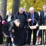 Inauguracja akcji Pola Nadziei 2016 w Bielsku-Białej