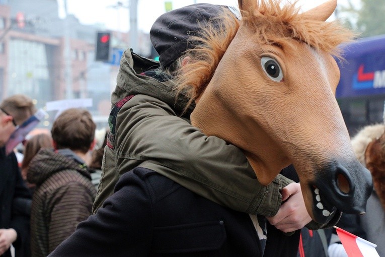 XV Radosna Parada Niepodległości we Wrocławiu