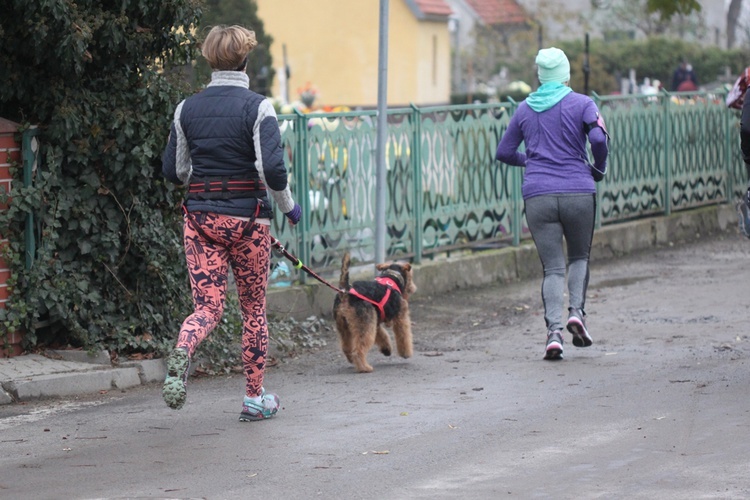 Na św. Marcina w Marcinkowicach