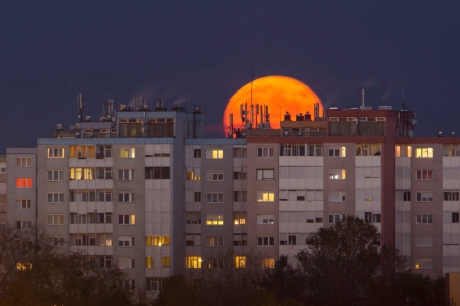 Tak wyglądał super-księżyc w różnych częściach świata