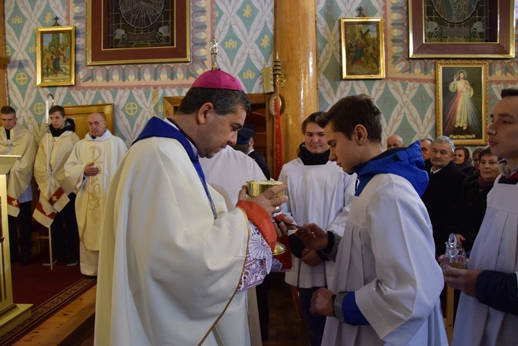 Powitanie ikony MB Częstochowskiej w Wilkowie