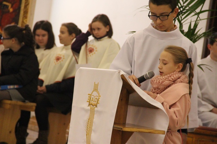 Zakończenie Roku Miłosierdzia w Świniarsku