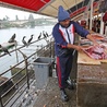 Kard. Parolin w FAO: rybacy sprzedawani i wykorzystywani