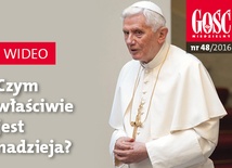 Zwiastun najnowszego "Gościa"