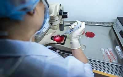 Refundowanie in vitro miał zastąpić program leczenia niepłodności oparty na naprotechnologii. Niestety, raczej tak się nie stanie.