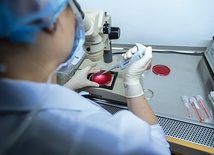 Refundowanie in vitro miał zastąpić program leczenia niepłodności oparty na naprotechnologii. Niestety, raczej tak się nie stanie.