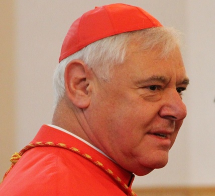 Kard. Müller: Gloryfikacja papieża bardziej szkodzi urzędowi niż pomaga