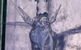 Sacrum w lodzie