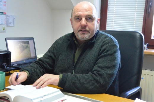 Jaka choinka na święta? 