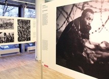 Zdjęcie Roku WPP prezentowane w Galerii Sztuki Współczesnej w Opolu.