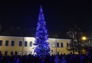 Choinka na Franciszkańskiej 3