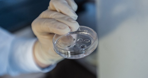 Szczecinek będzie dopłacać do in vitro