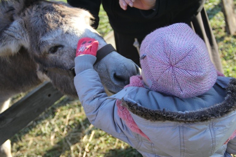 Żywa szopka u bernardynów
