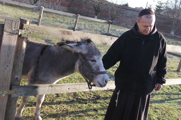 Żywa szopka u bernardynów