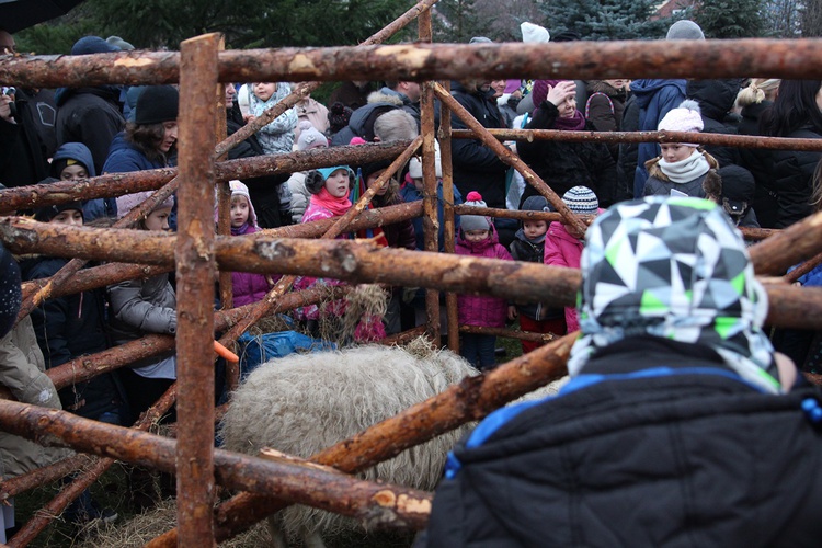 Pasterka dla dzieci u franciszkanów