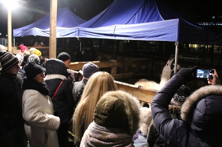Franciszkańska Żywa Szopka 2016