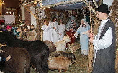 W szopce w kościele są żywe zwierzęta, a młodzież odgrywa rolę pastuszków, św. Józefa i Maryi